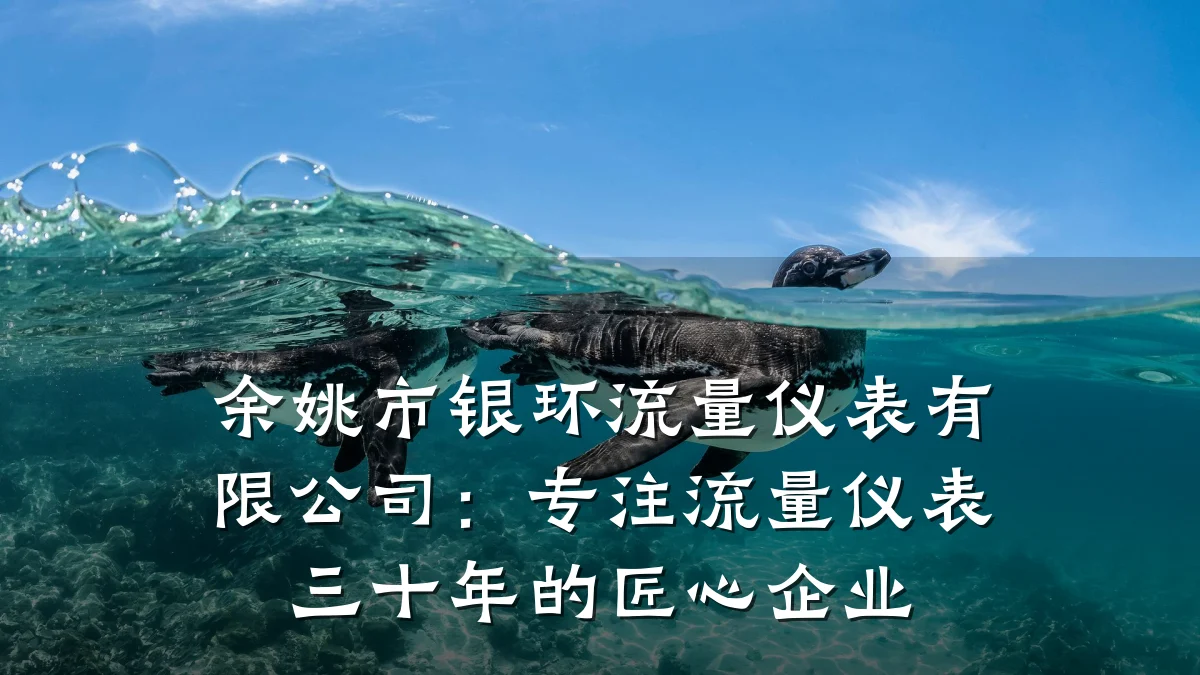 余姚市银环流量仪表有限公司:专注流量仪表三十年的匠心企业