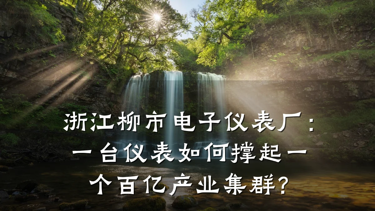 浙江柳市电子仪表厂:一台仪表如何撑起一个百亿产业集群?