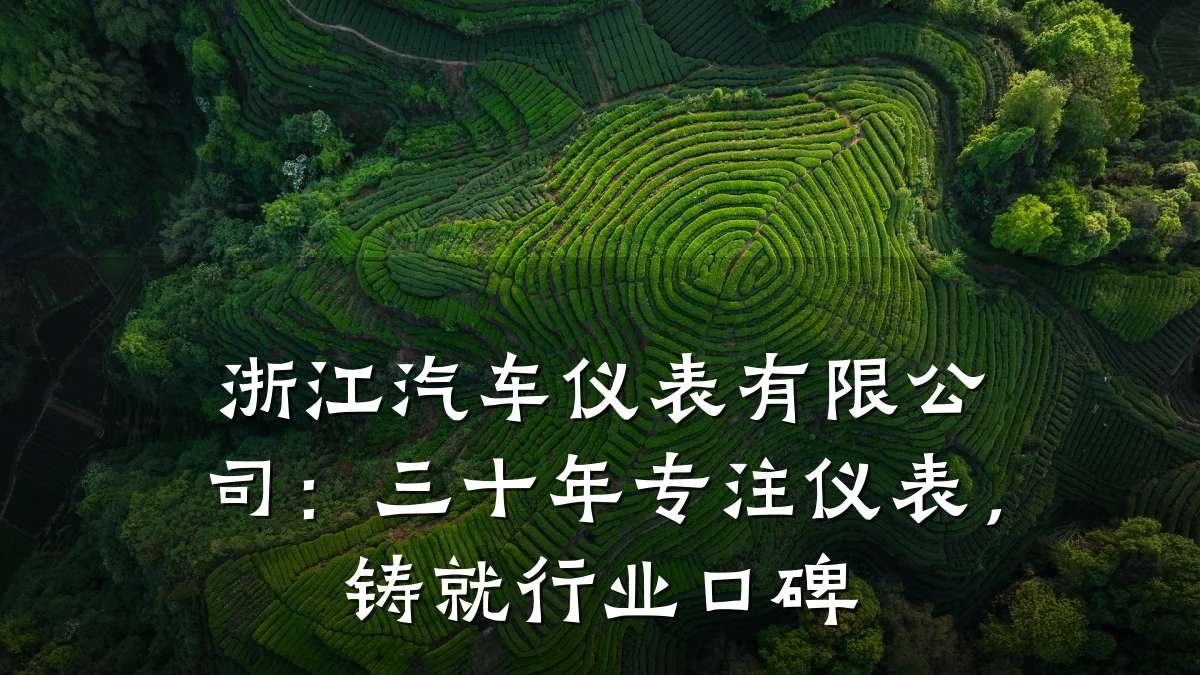 浙江汽车仪表有限公司：三十年专注仪表，铸就行业口碑