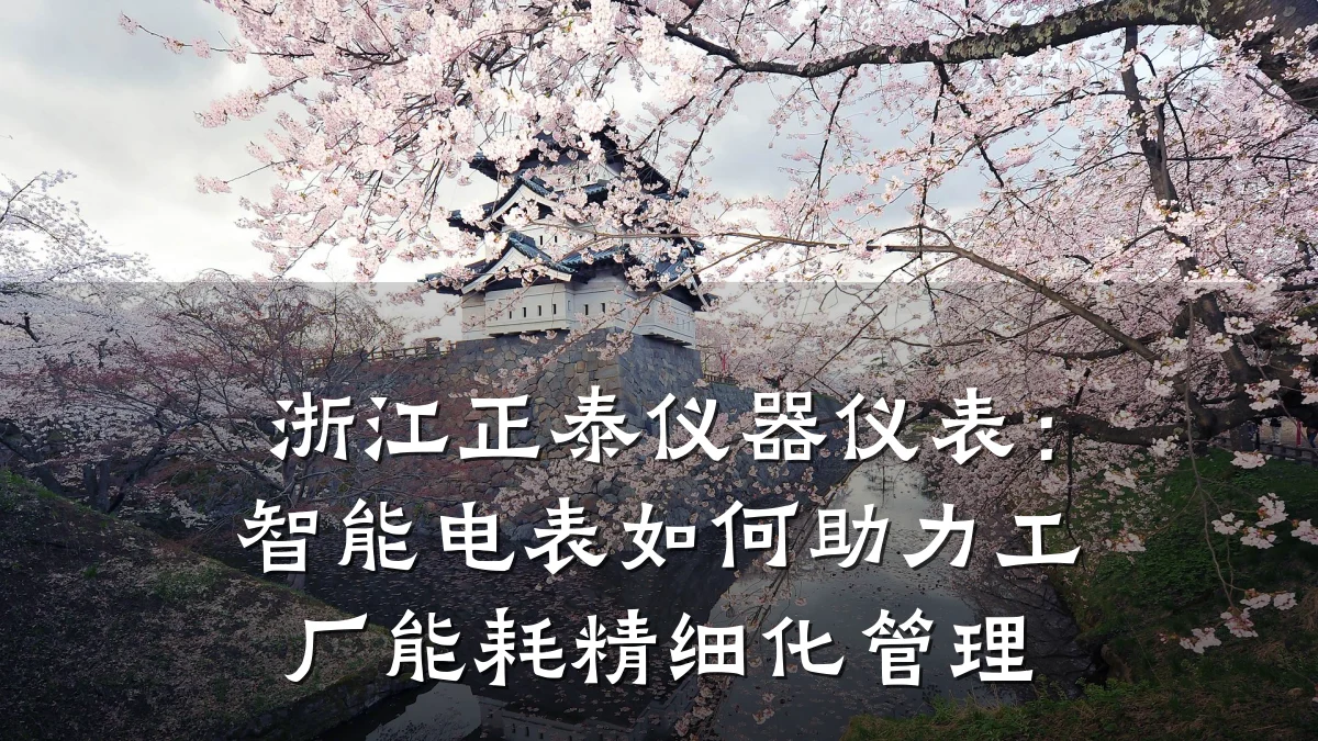 浙江正泰仪器仪表：智能电表如何助力工厂能耗精细化管理