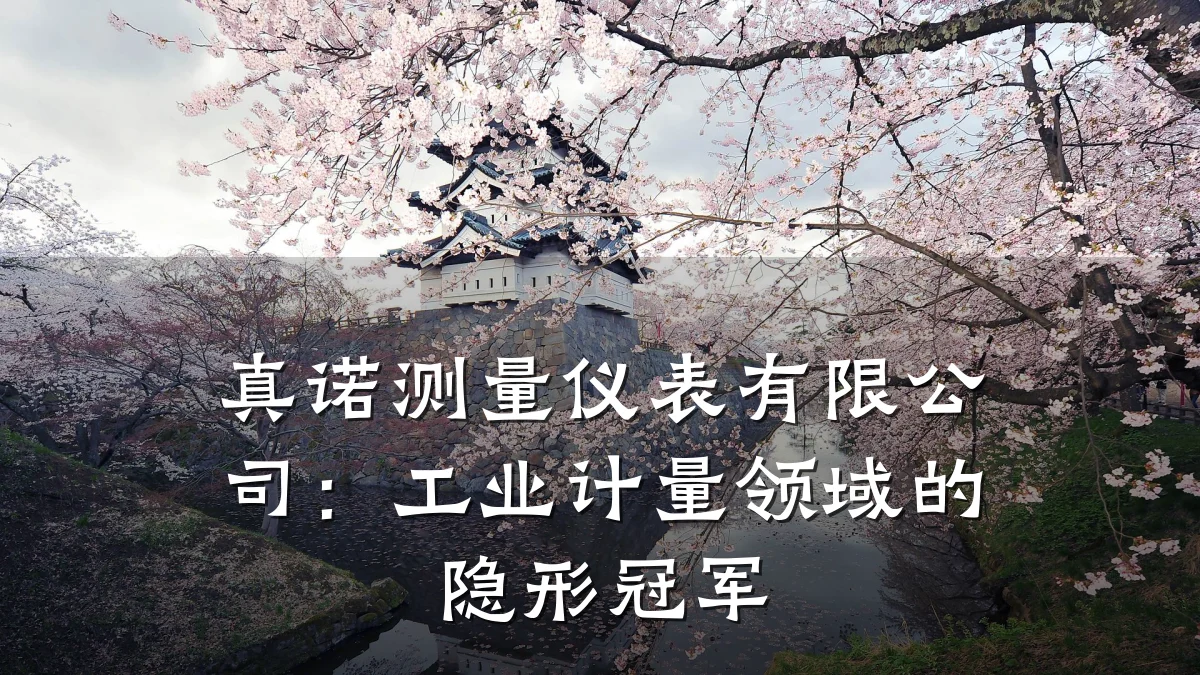 真诺测量仪表有限公司:工业计量领域的隐形冠军