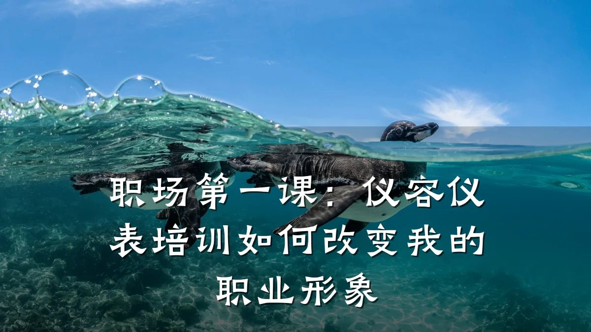 职场第一课:仪容仪表培训如何改变我的职业形象