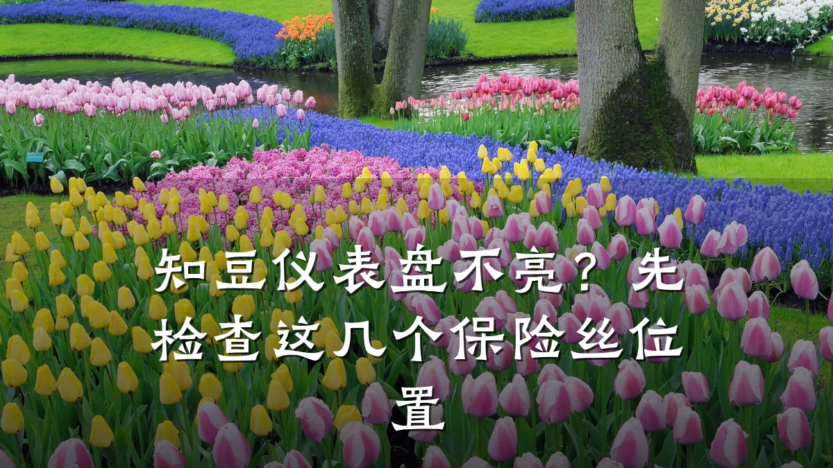 知豆仪表盘不亮?先检查这几个保险丝位置