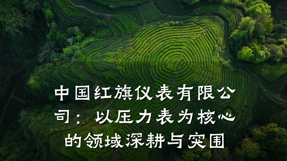 中国红旗仪表有限公司:以压力表为核心的领域深耕与突围