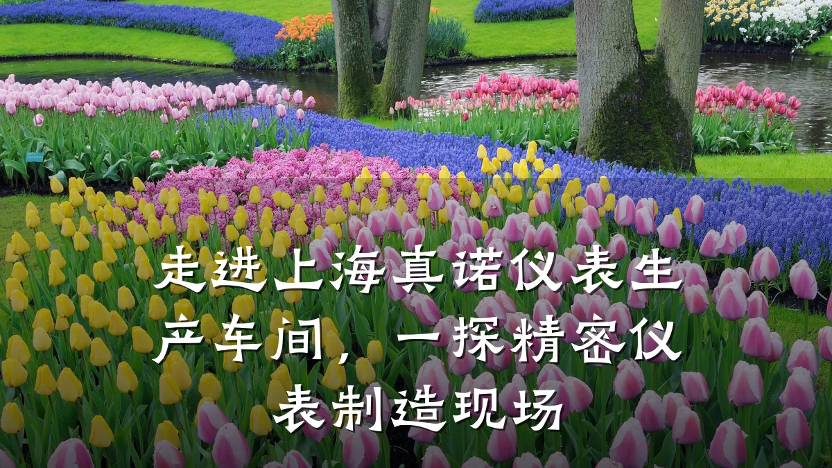 走进上海真诺仪表生产车间，一探精密仪表制造现场
