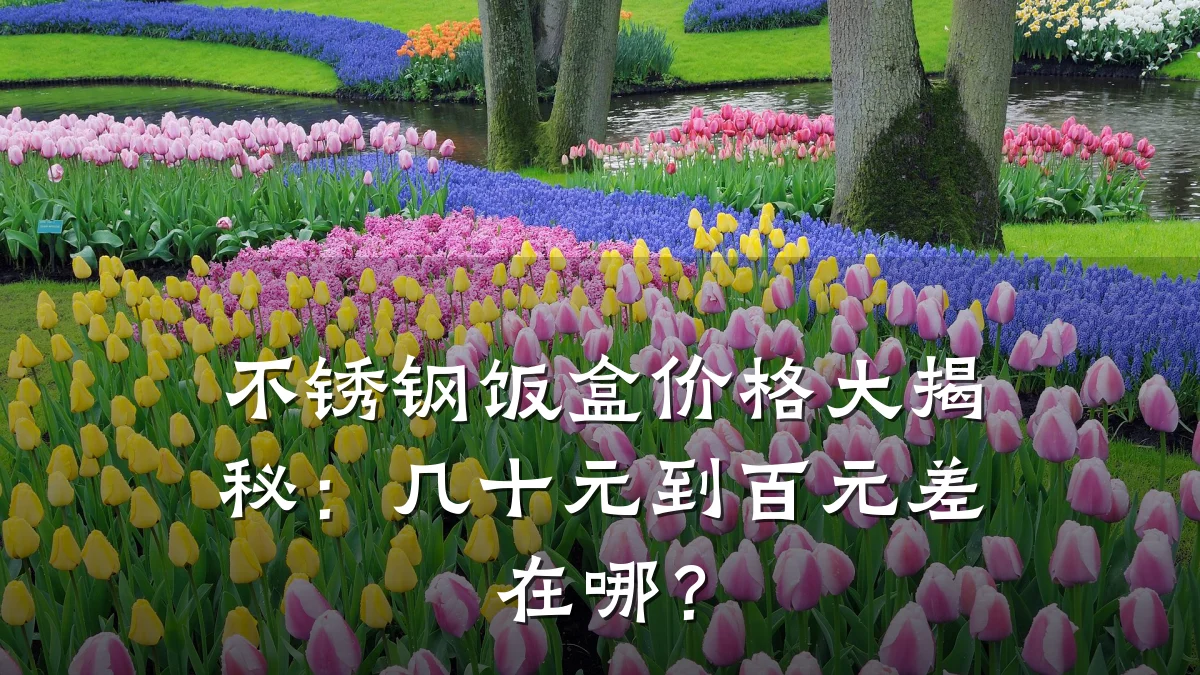 不锈钢饭盒价格大揭秘:几十元到百元差在哪?