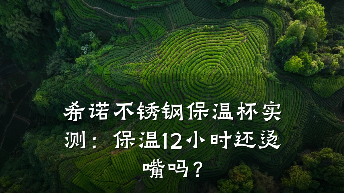 希诺不锈钢保温杯实测：保温12小时还烫嘴吗？
