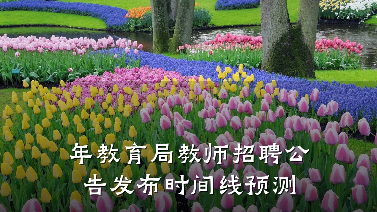 年教育局教师招聘公告发布时间线预测