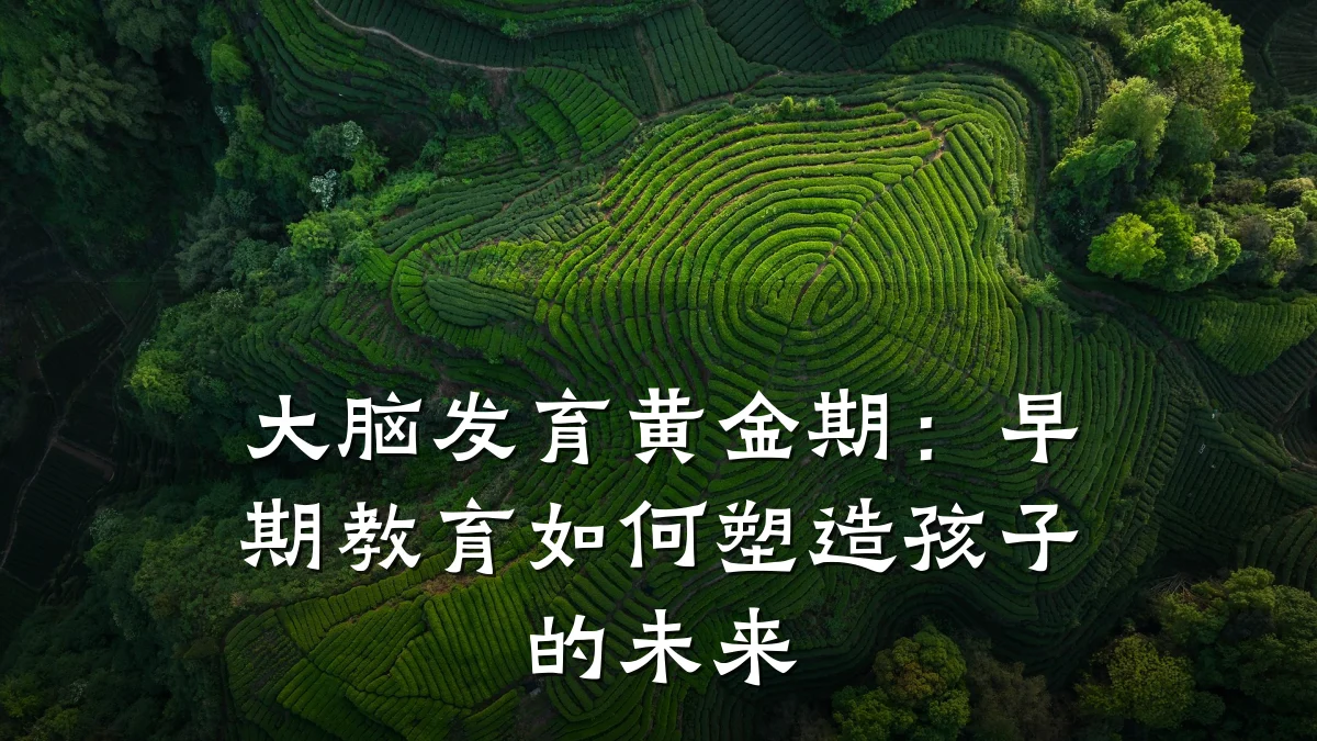 大脑发育黄金期:早期教育如何塑造孩子的未来