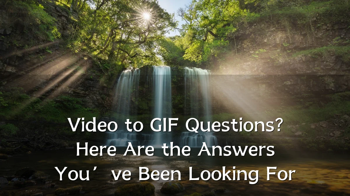 Video to GIF Questions? Here Are the Answers You’ve Been Looking For